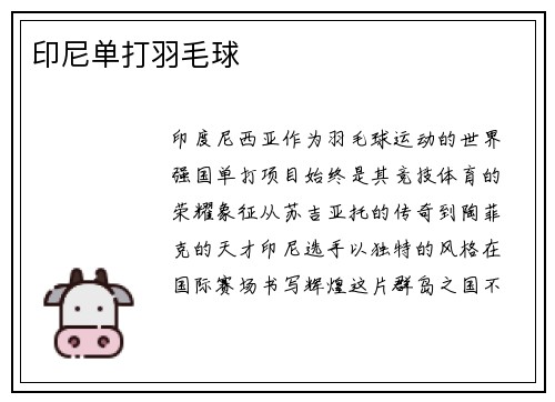 印尼单打羽毛球