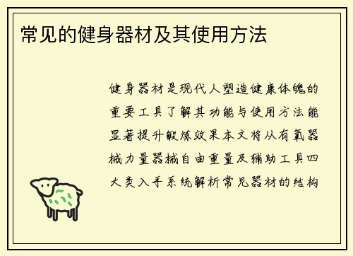 常见的健身器材及其使用方法